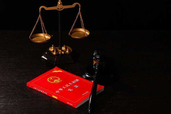 劳动仲裁委托律师立案后怎么处理 一旦立案意味着什么