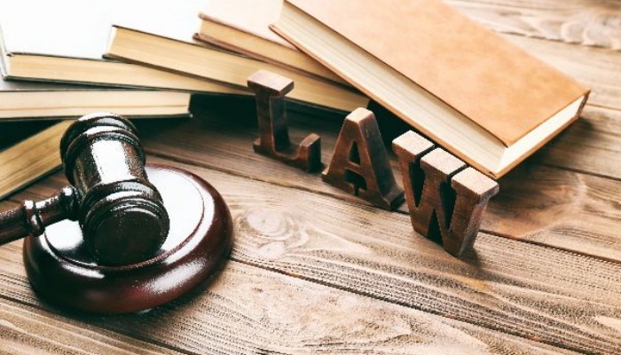 告政府非法送养怎么处罚 要满足什么条件