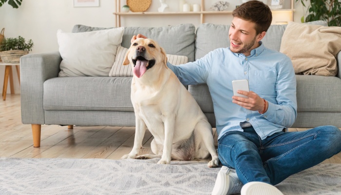 狗狗寄养期间死亡谁负责 该怎么赔偿